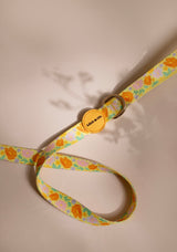 Floral Haven : Leash