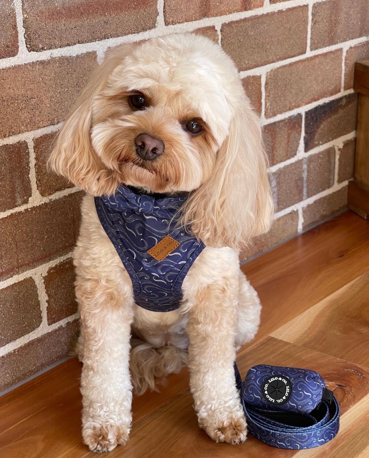 Blue Vibes : Poop Bag