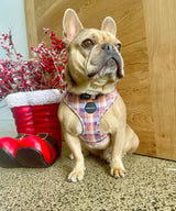 Peachy Plaid : Adjustable Harness