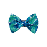 Palm Beach : Bow Tie