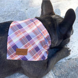 Peachy Plaid : Bandana