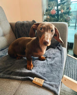 Pet Blanket : Grey