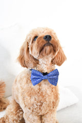 Blue Vibes : Bow Tie