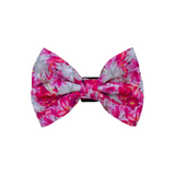 Sucker for Pink : Bow Tie