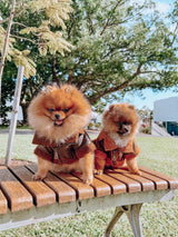 Brown: Teddy Jacket
