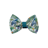 In The Jungle : Bow Tie