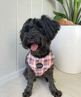 Peachy Plaid : Adjustable Harness